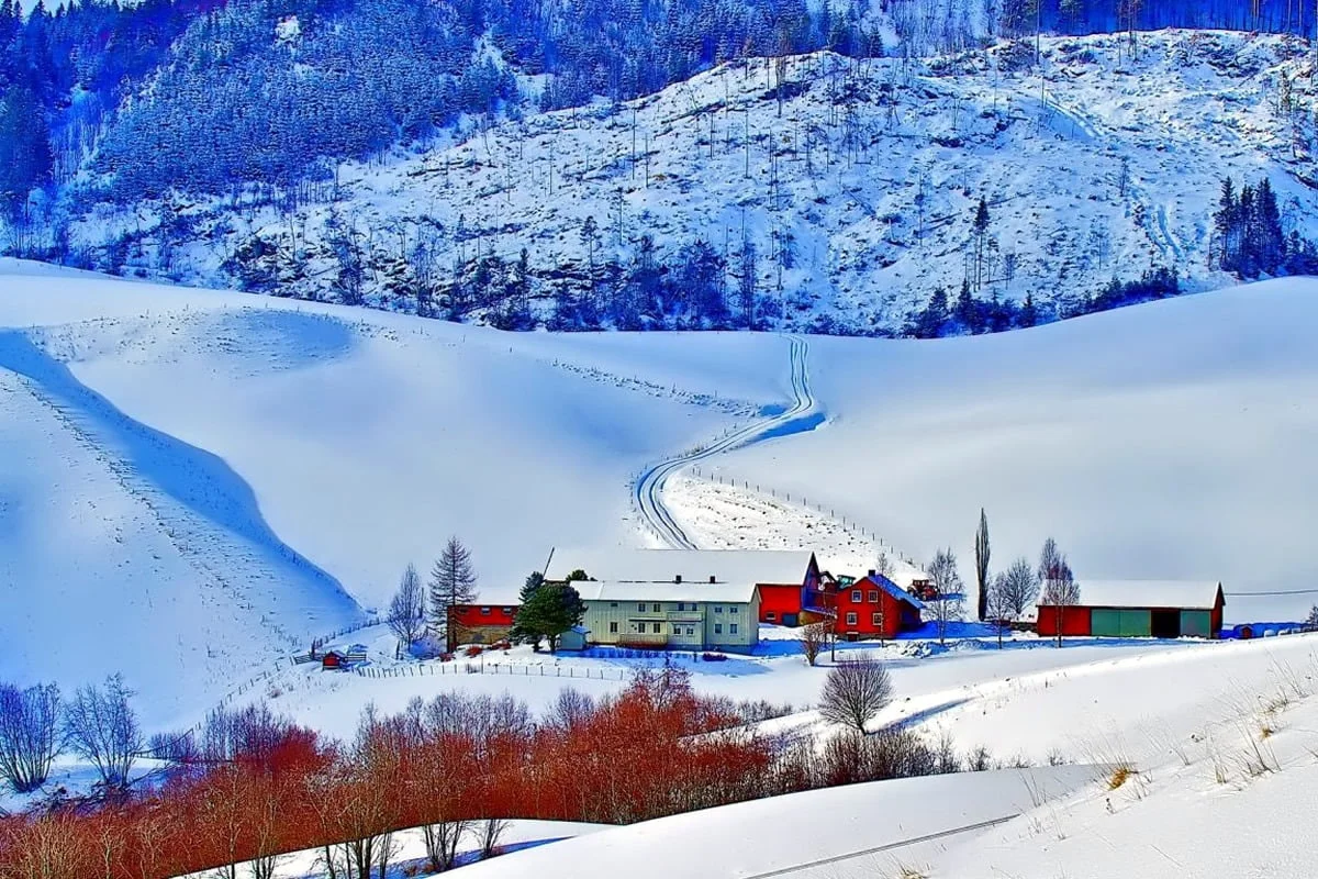 Delhi/ Shimla/ Manali/ Chandigarh